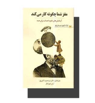 کتاب مغز شما چگونه کار می کند