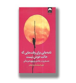 کتاب نامه هایی برای وقت هایی که حالت خوش نیست-همسفری در جاده پر پیچ و خم زندگی
