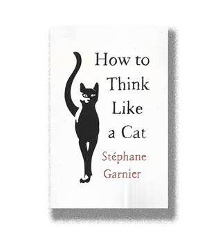 کتاب زبان اصلی چگونه مثل گربه فکر کنیم how to think like  a cat