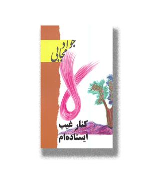 کتاب کنار غیب ایستاده ام