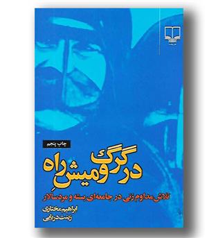 کتاب در گرگ و میش راه