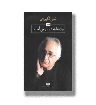 کتاب واژه ها به دیدن من می آمدند