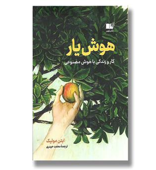 کتاب هوش یار (کار و زندگی با هوش مصنوعی)