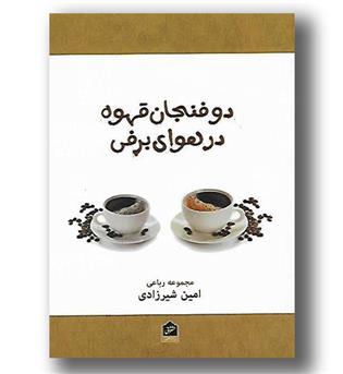 کتاب دو فنجان قهوه در هوای برفی